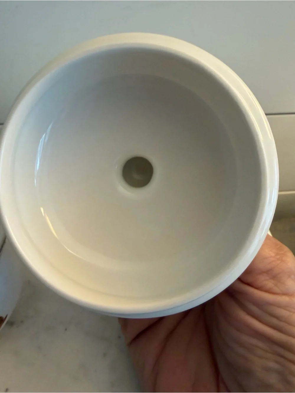 Villeroy & Boch Naïf Covered Sugar Bowl NEW